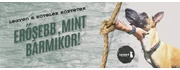 Erősebb, mint valaha