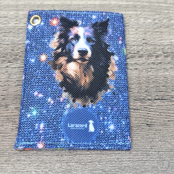 10.0 border collie
