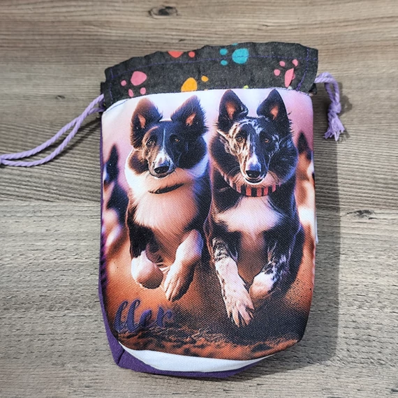 Border collie